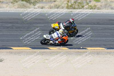 media/Feb-04-2024-SoCal Trackdays (Sun) [[91d6515b1d]]/4-Bowl Backside (11am)/